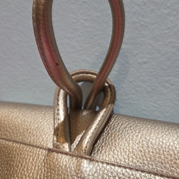 Chantecaille Metallic Gold Loop Lock Wristlet - Picture 2 of 10